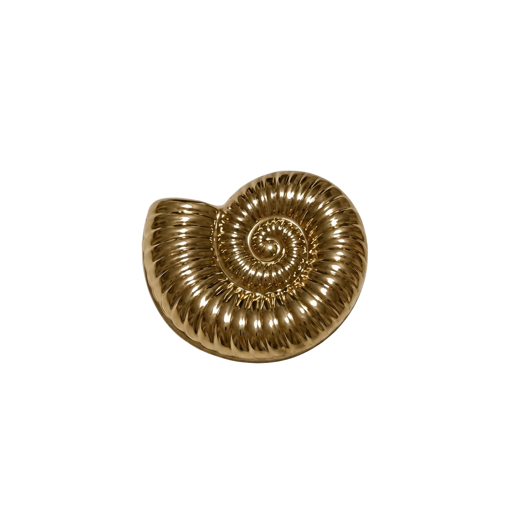 Shell Brooch