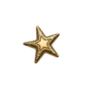 Starfish Brooch