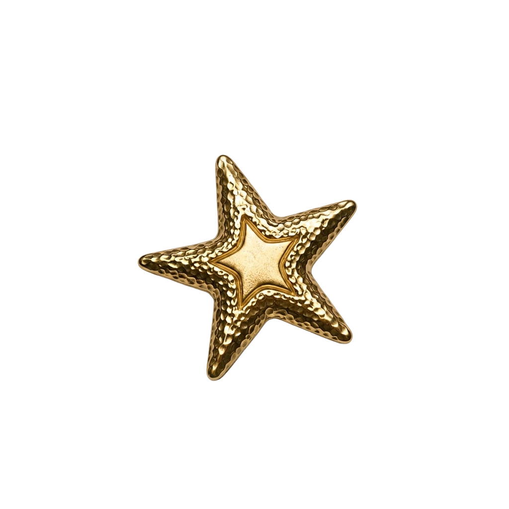 Starfish Brooch